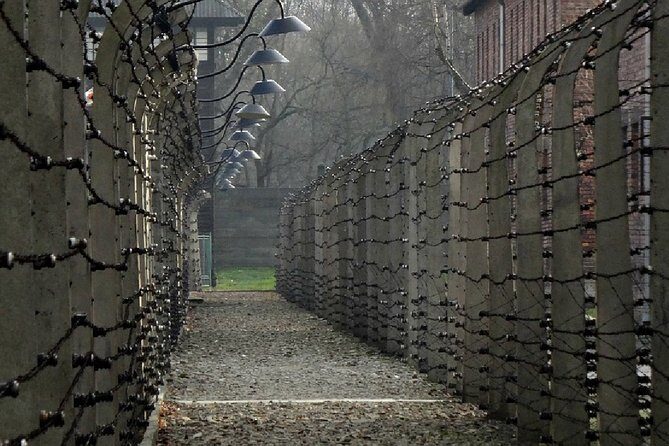 Full-Day Tour of Auschwitz-Birkenau and Salt Mine from Krakow - Wieliczka Salt Mine: UNESCO-level sights plus a real workout
